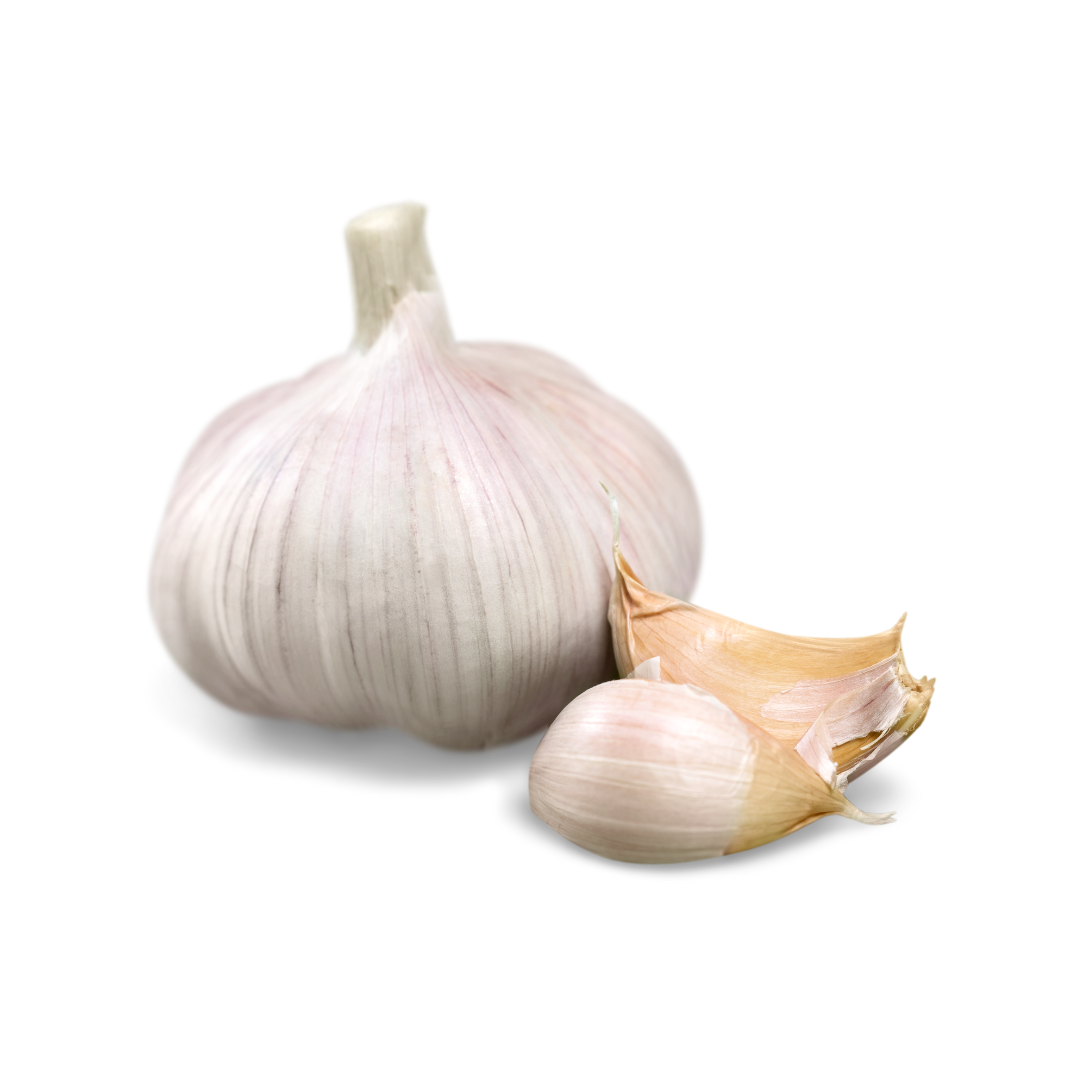 Garlic
