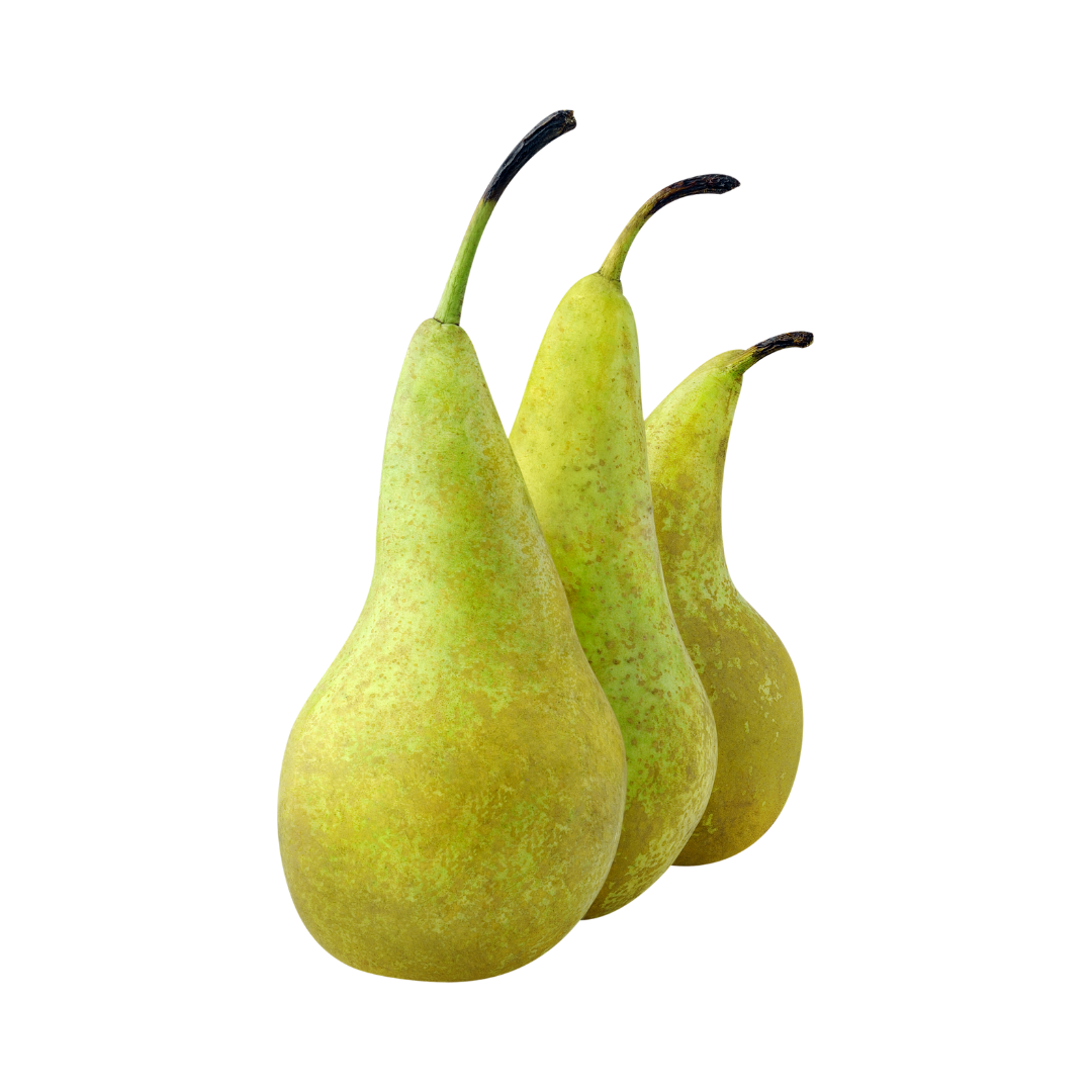 Conference Pears