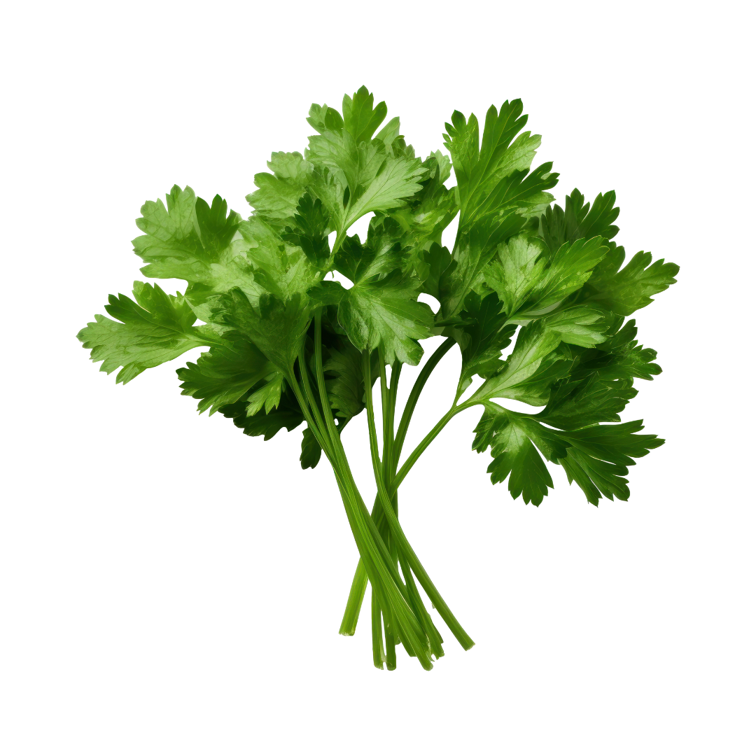 Parsley