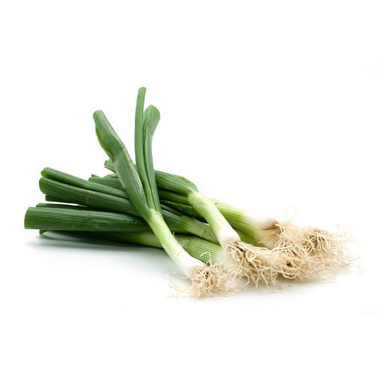 Spring Onion