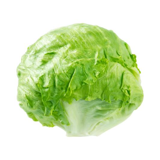 Iceberg Lettuce