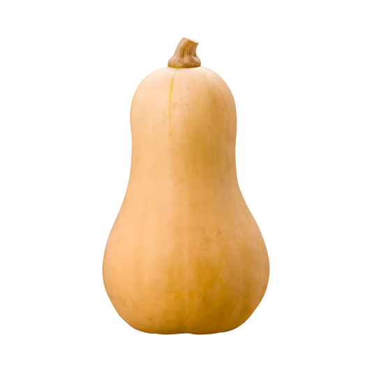 Butternut Squash