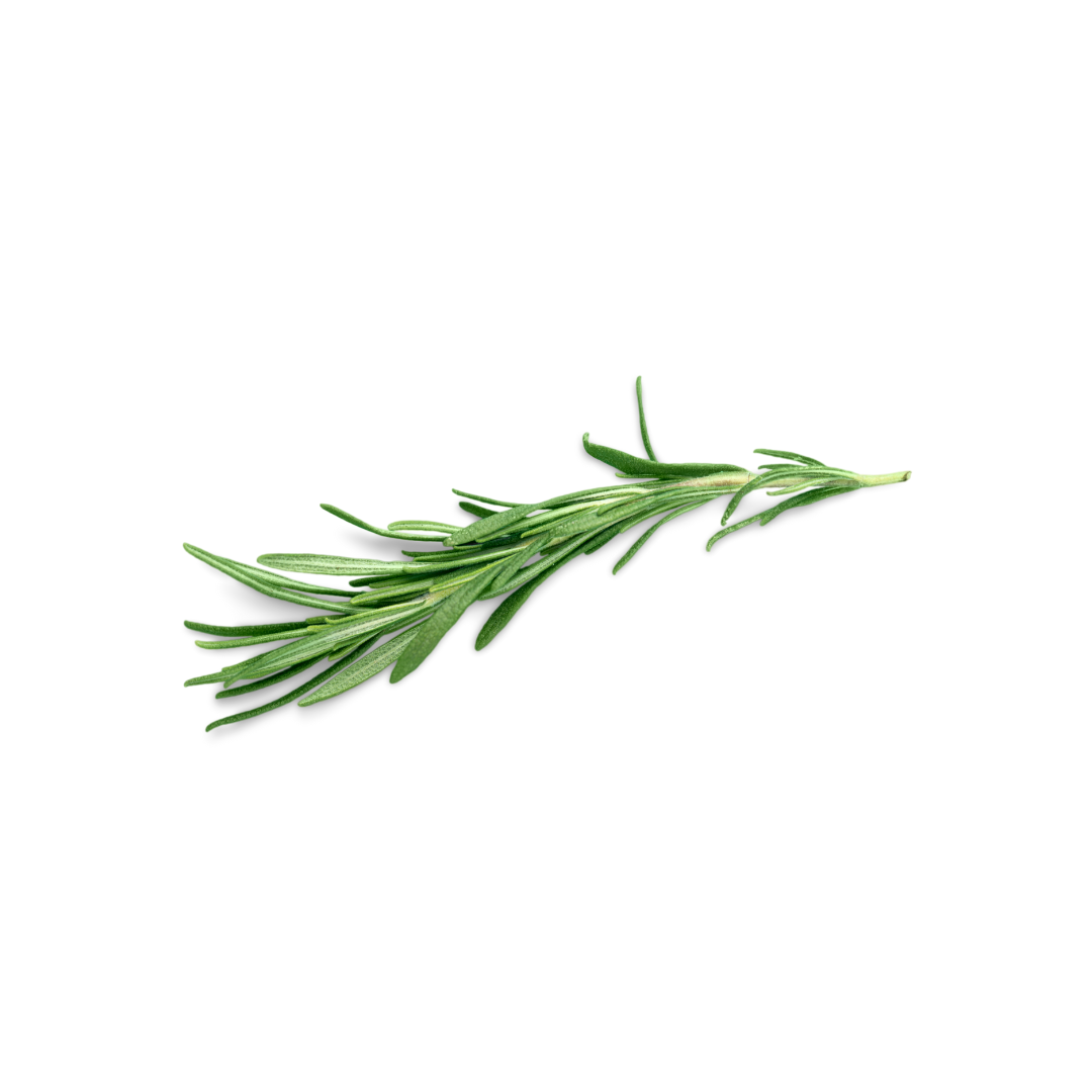 Thyme