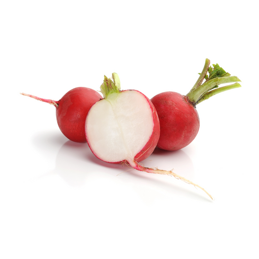 Radish